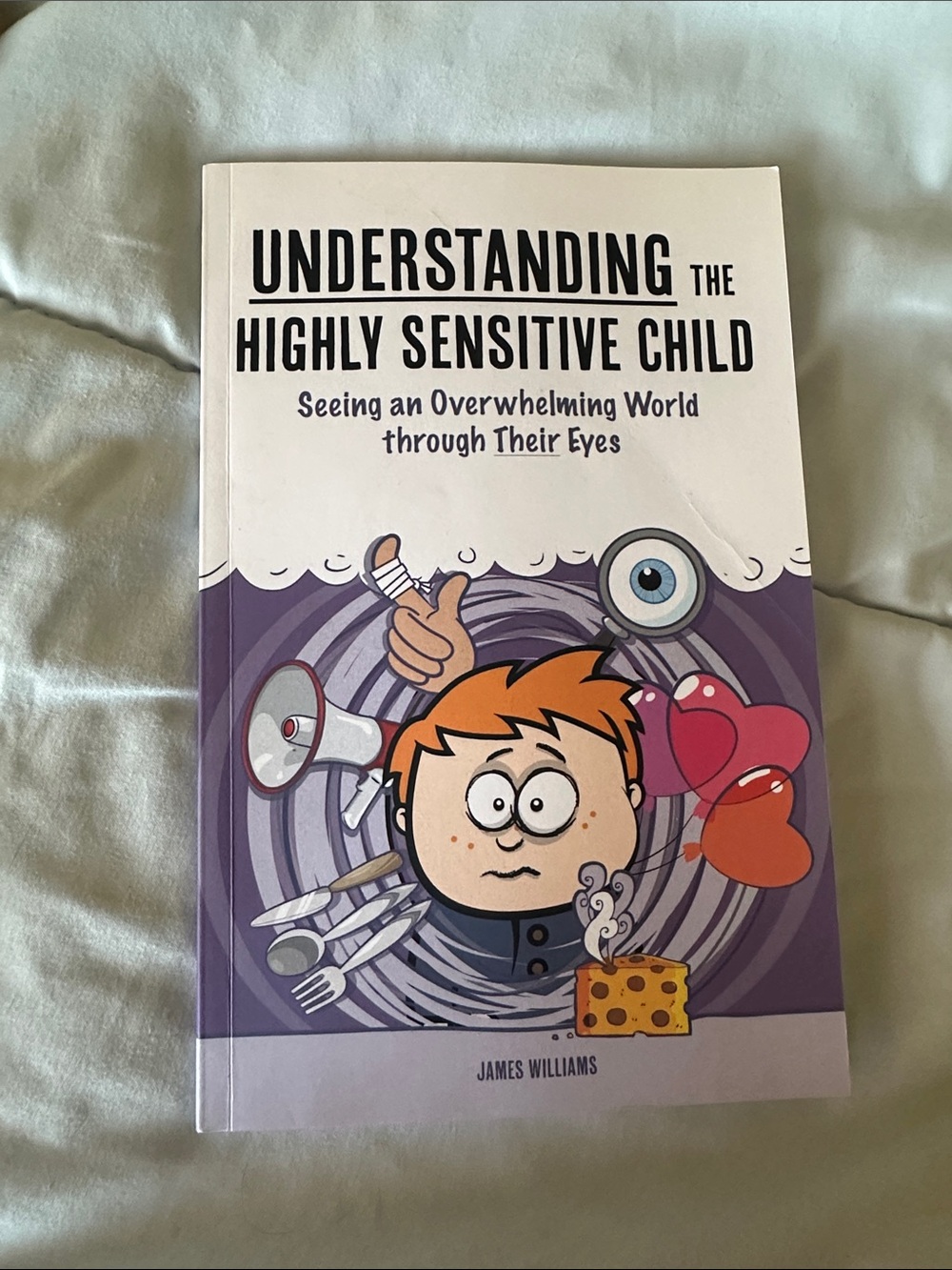 Understanding the Highly Sensitive Child - James Williams